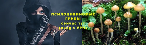 винт Белоозёрский