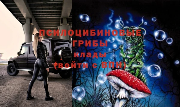 метадон Беломорск