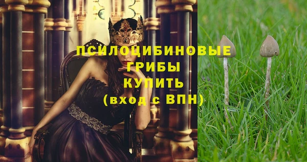первитин Белокуриха