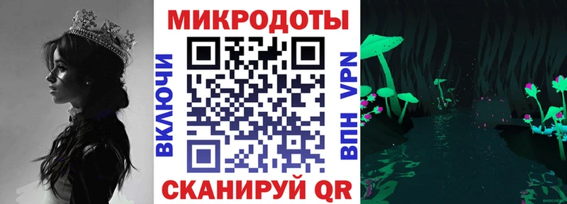 где купить наркоту Славгород Псилоцибиновые грибы мухоморы