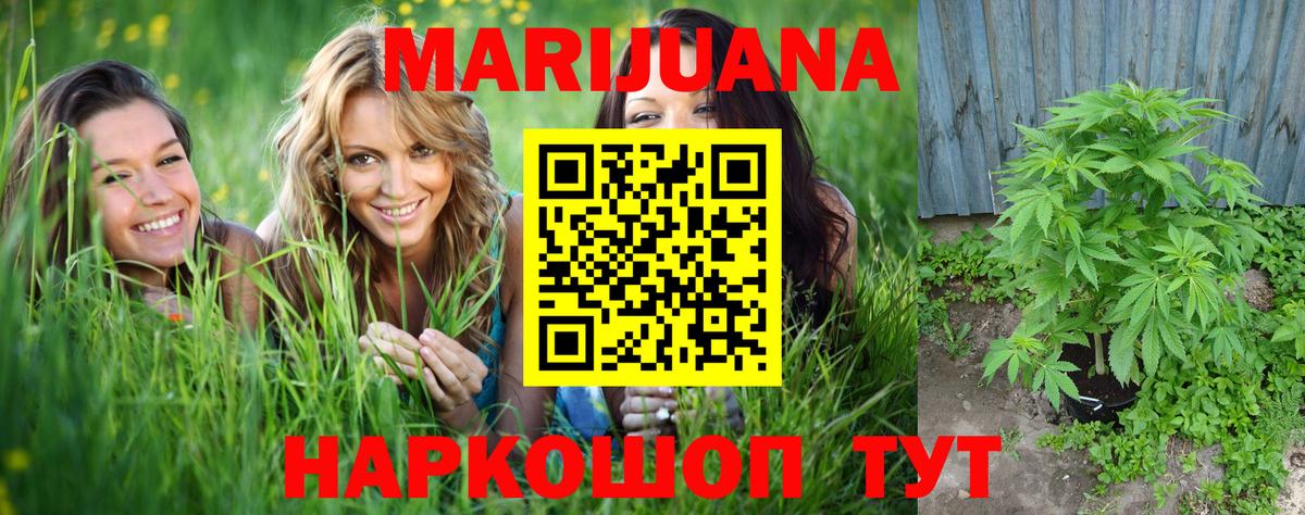 МАРИХУАНА конопля Славгород